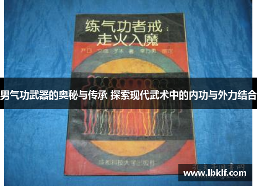 男气功武器的奥秘与传承 探索现代武术中的内功与外力结合